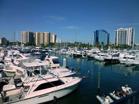 Harbor View